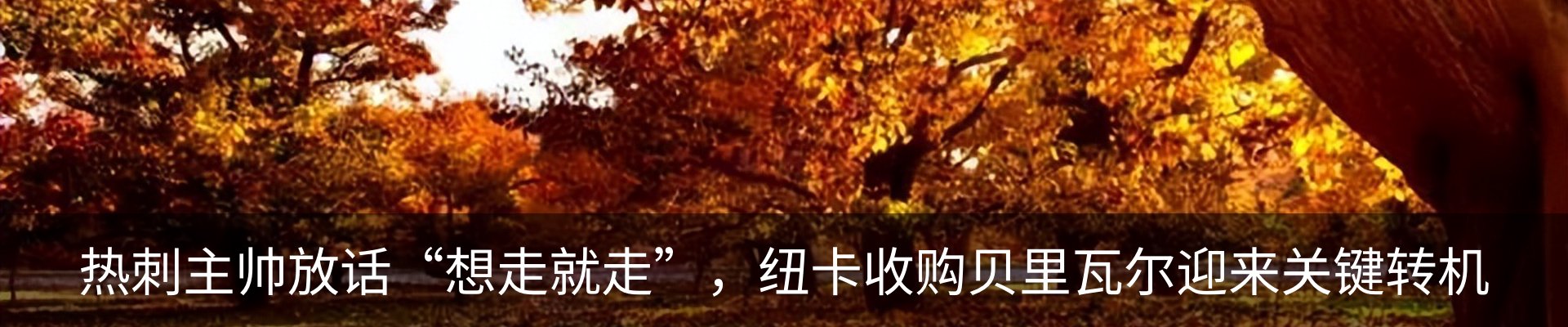 行业资讯